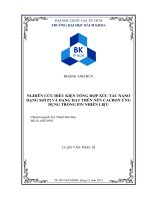 Nghiên cứu điều kiện tổng hợp xúc tác nano dạng sợi pt và dạng hạt trên nền cacbon ứng dụng trong pin nhiên liệu  
