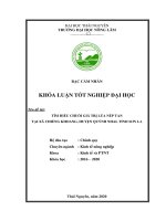 (Khóa luận tốt nghiệp) Tìm hiểu chuỗi giá trị lúa Nếp Tan tại xã Chiềng Khoang, huyện Quỳnh Nhai, tỉnh Sơn La