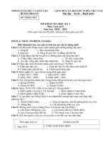 Đề thi học kì 1 môn Lịch sử 8 năm 2020-2021 có đáp án - Phòng GD&ĐT huyện Hoa Lư