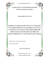 Nghiên cứu đánh giá khả năng xử lý chất hữu cơ và dinh dưỡng của 4 loại thực vật (cỏ lác, cỏ chỉ tía, cỏ lá soài, cỏ đầu tròn) trong hệ thống đất ngập nước kiến tạo trên mái (wetland roof) xử lý nước thải sau bể tự hoại  