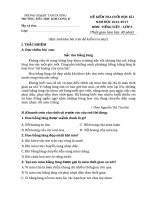 Đề kiểm tra HKI môn Tiếng Việt lớp 5