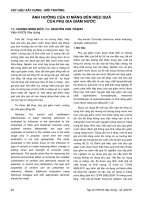 viện khoa học công nghệ xây dựng  ibst