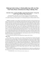 Đánh giá sinh trưởng và thành phần hoạt chất của Sâm Việt Nam (Panax vietnamensis) trồng ở Quảng Nam