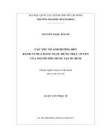 Các yếu tố ảnh hưởng đến hành vi mua hàng ngẫu hứng trực tuyến của người tiêu dùng tại tp  hcm  