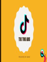 tiktok ads – quảng cáo tiktoks – bảng giá – vinalink – tư vấn marketing tổng thể