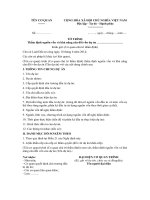 Mẫu tờ trình thẩm định nguồn vốn và khả năng cân đối vốn dự án