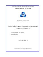 Xúc tác cụm nguyên tử ag trên chất mang tro trấu cho phản ứng oxi hóa co  