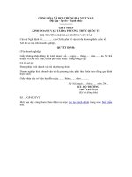 Mẫu giấy phép kinh doanh vận tải đa phương thức quốc tế