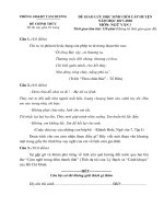 Đề thi chọn học sinh giỏi cấp huyện môn Ngữ văn lớp 7 năm 2017-2018 có đáp án - Phòng GD&ĐT Tam Dương