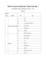 Mẫu phân phối chương trình Tiếng việt lớp 1 sách Chân trời sáng tạo