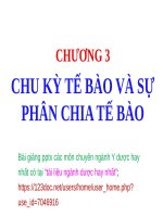 CHU kỳ tế bào ppt _ SINH HỌC (y dược)