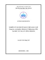 Nghiên cứu di truyền quần thể loài cá hú pangasius conchophilus (robert  vidthayanon, 1991) tại khu vực hạ lưu sông mekong  