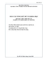 Bất ổn định do gió của kết cấu có gắn hệ cản   báo cáo tổng kết đề tài nghiên cứu khoa học cấp trường  