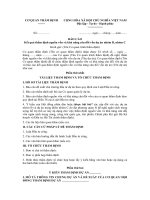 Mẫu báo cáo kết quả thẩm định nguồn vốn và khả năng cân đối vốn dự án