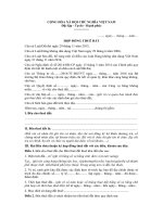 Mẫu hợp đồng thuê đất tại cảng hàng không, sân bay