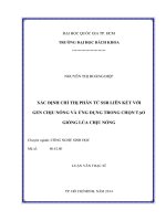 Xác định chỉ thị phân tử ssr liên kết với gen chịu nóng và ứng dụng trong chọn tạo giống lúa chịu nóng  