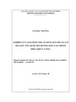 Nghiên cứu giải pháp trụ xi măng đất để gia cố nền đất yếu dưới nền đường đắo cao trong điều kiện cà mau  