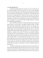 Luận văn đánh giá sự hài lòng của khách hàng sử dụng mạng vinaphone 