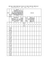 Mẫu kết quả thực hiện dự án đầu tư CSHT chương trình 135