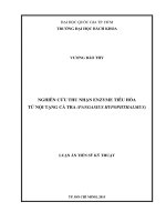 Nghiên cứu thu nhận enzyme tiêu hóa từ nội tạng cá tra (pangasius hypophthalmus)  