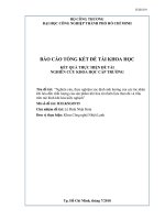 Nghiên cứu, thực nghiệm xác định ảnh hưởng của các tác nhân khí hóa đến chất lượng của sản phẩm khí hóa từ nhiên liệu than đá và trấu trên mô hình khí hóa kiểu nghịch  