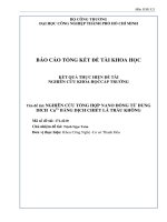 Nghiên cứu tổng hợp nano đồng từ dung dịch cu2+ bằng dịch chiết lá trầu không   báo cáo tổng kết đề tài khoa học và công nghệ cấp trường  