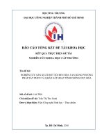 Nghiên cứu sản xuất bột tỏi đen hòa tan bằng phương pháp sấy phun và khảo sát hoạt tính chống oxy hóa   báo cáo tổng kết đề tài khoa học cấp trường