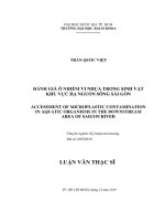 Đánh giá ô nhiễm vi nhựa trong sinh vật khu vực hạ nguồn sông sài gòn  