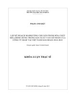 Lập kế hoạch marketing cho sản phẩm hóa chất melamine dùng trong sản xuất ván gỗ nhân tạo công ty basf tại việt nam giai đoạn 2014 2015  