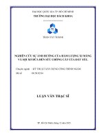 Nghiên cứu sự ảnh hưởng của hàm lượng xi măng và sợi xơ dừa đến sức chống cắt của đất yếu  