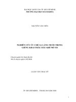 Nghiên cứu ức chế sa lắng muối trong giếng khai thác dầu khí mỏ td  