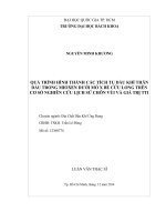 Quá trình hình thành các tích tụ dầu khí thân dầu trong mioxen dưới mỏ x bể cửu long trên cơ sở nghiên cứu lịch sử chôn vùi và giá trị tti  
