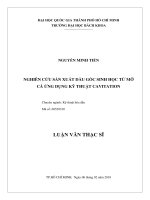 Nghiên cứu sản xuất dầu gốc sinh học từ mỡ cá ứng dụng kỹ thuật cavitation  