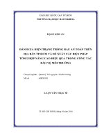 Đánh giá hiện trạng trồng rau an toàn trên địa bàn tp hcm và đề xuất các biện pháp tổng hợp nâng cao hiệu quả trong công tác bảo vệ môi trường  