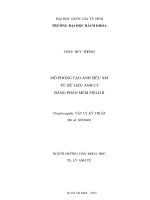 Mô phỏng tạo ảnh siêu âm từ dữ liệu ảnh ct bằng phần mềm field ii  