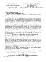 Đề thi khảo sát chuyên đề môn Ngữ văn lớp 11 năm 2017-2018 - THPT Ngô Gia Tự