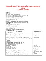 Nhận biết tập nói Tên và đặc điểm của con vật trong rừng