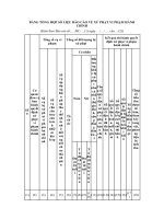 Mẫu bảng tổng hợp số liệu báo cáo về xử phạt vi phạm hành chính