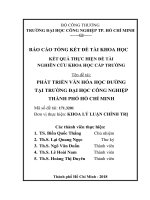 Phát triển văn hóa học đường tại trường đại học công nghiệp tp  hồ chí minh   báo cáo tổng kết đề tài nghiên cứu khoa học cấp trường  