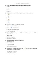 Đề cương ôn tập môn tin học 6 HKII