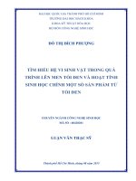 Tìm hiểu hệ vi sinh vật trong quá trình lên men tỏi đen và hoạt tính sinh học chính một số sản phẩm từ tỏi đen  