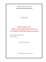 Khảo sát khả năng kháng nấm gây bệnh trên thực vật của tinh dầu tràm (melaleuca alternifolia)  