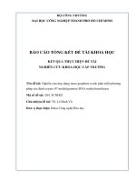 Nghiên cứu cải tiến và tối ưu hóa phương pháp phân tích btex, ứng dụng khảo sát mức độ ô nhiêm btex trong không khí tại một số điểm ở tp  hồ chí minh   báo cáo tổng kết đề tài khoa học cấp trường 2017 
