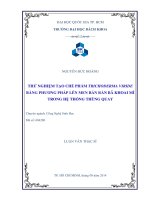 Thử nghiệm tạo chế phẩm trichoderma viride bằng phương pháp lên men bán rắn bã khoai mì trong hệ thống thùng quay  