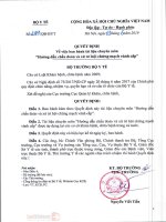 HƯỚNG DẪN CHẨN ĐOÁN VÀ XỬ TRÍ  HỘI CHỨNG MẠCH VÀNH CẤP