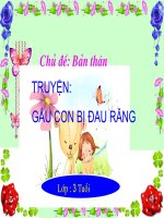 gấu con bị đau răng  mn thanh minh