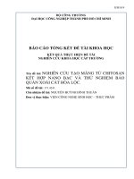 Nghiên cứu tạo màng từ chitosan kết hợp nano bạc và thử nghiệm bảo quản xoài cát hòa lộc   báo cáo tổng kết đề tài nghiên cứu khoa học cấp trường  