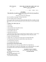 Mẫu tờ trình thẩm định báo cáo nghiên cứu tiền khả thi, đề xuất chủ trương đầu tư dự án