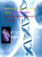 KỸ THUẬT làm TIÊU bản NHIỄM sắc THỂ ppt _ SINH HỌC (y dược)