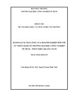 Đánh giá sự hài lòng của doanh nghiệp đối với cử nhân kinh tế trường đại học công nghiệp tp hồ chí minh   phân hiệu quảng ngãi   báo cáo tổng kết đề tài khoa học cấp trường  